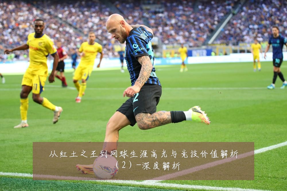 从红土之王到网球生涯高光与竞技价值解析（2）-深度解析