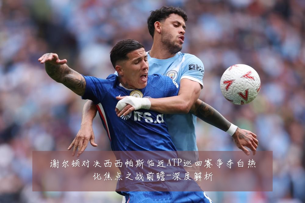 谢尔顿对决西西帕斯临近ATP巡回赛争夺白热化焦点之战前瞻-深度解析