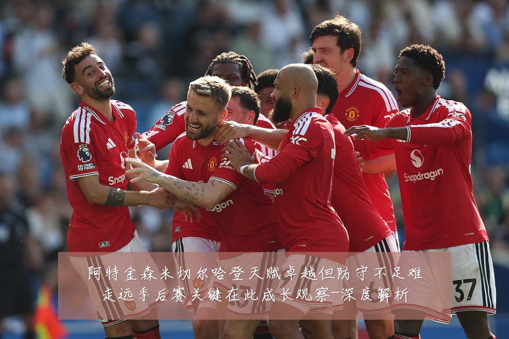 阿特金森米切尔哈登天赋卓越但防守不足难走远季后赛关键在此成长观察-深度解析